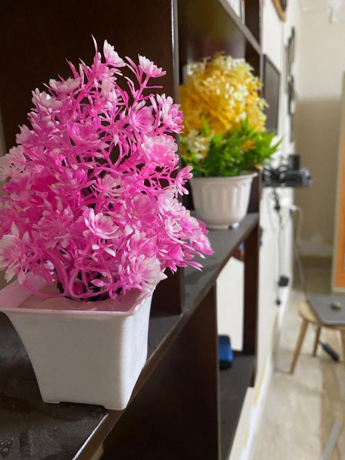 Jawai Bagpackers Hostel Sheoganj Εξωτερικό φωτογραφία